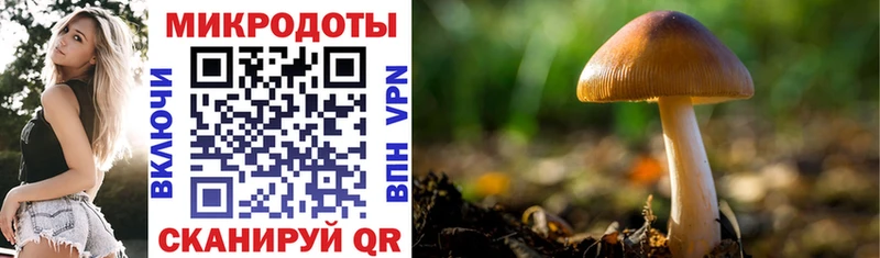 Псилоцибиновые грибы MAGIC MUSHROOMS  Купить где  Полярные Зори 